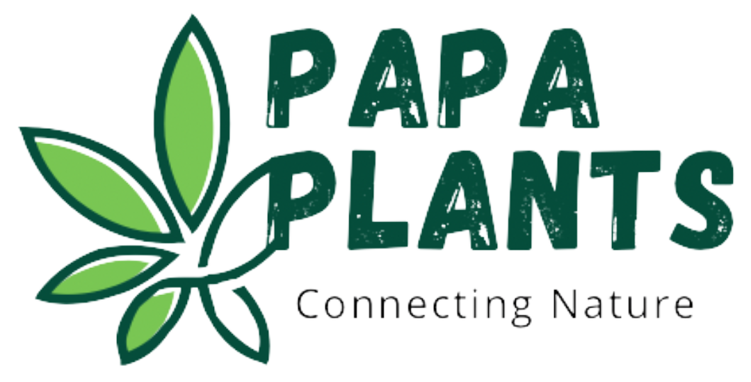 Papa Plants
